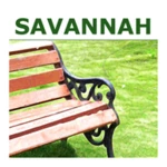 Logo of Savannah Experiences android Application 